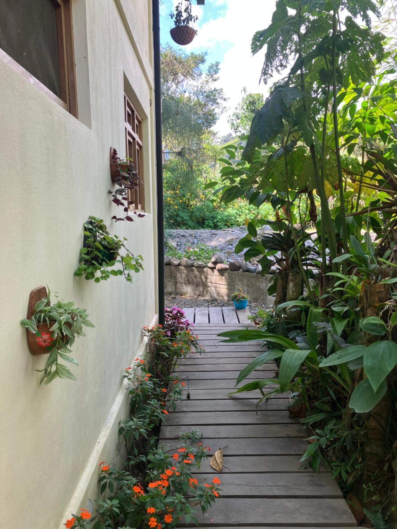 Bed and Breakfast Casa Del Rio En Mindo Exterior foto