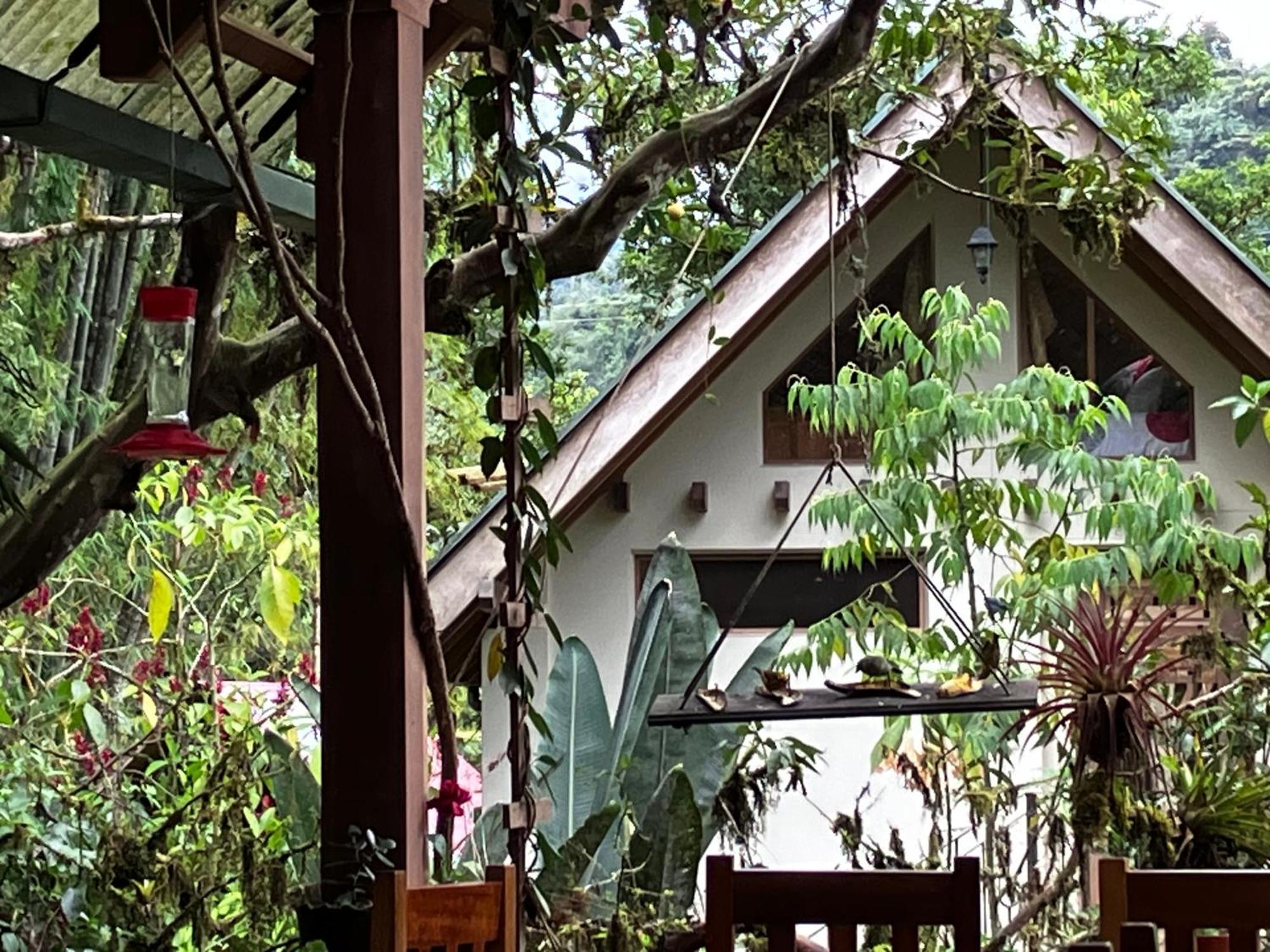 Bed and Breakfast Casa Del Rio En Mindo Exterior foto