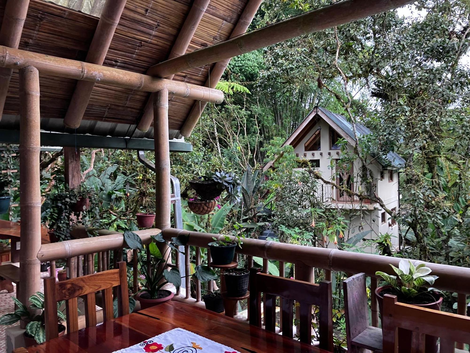 Bed and Breakfast Casa Del Rio En Mindo Exterior foto
