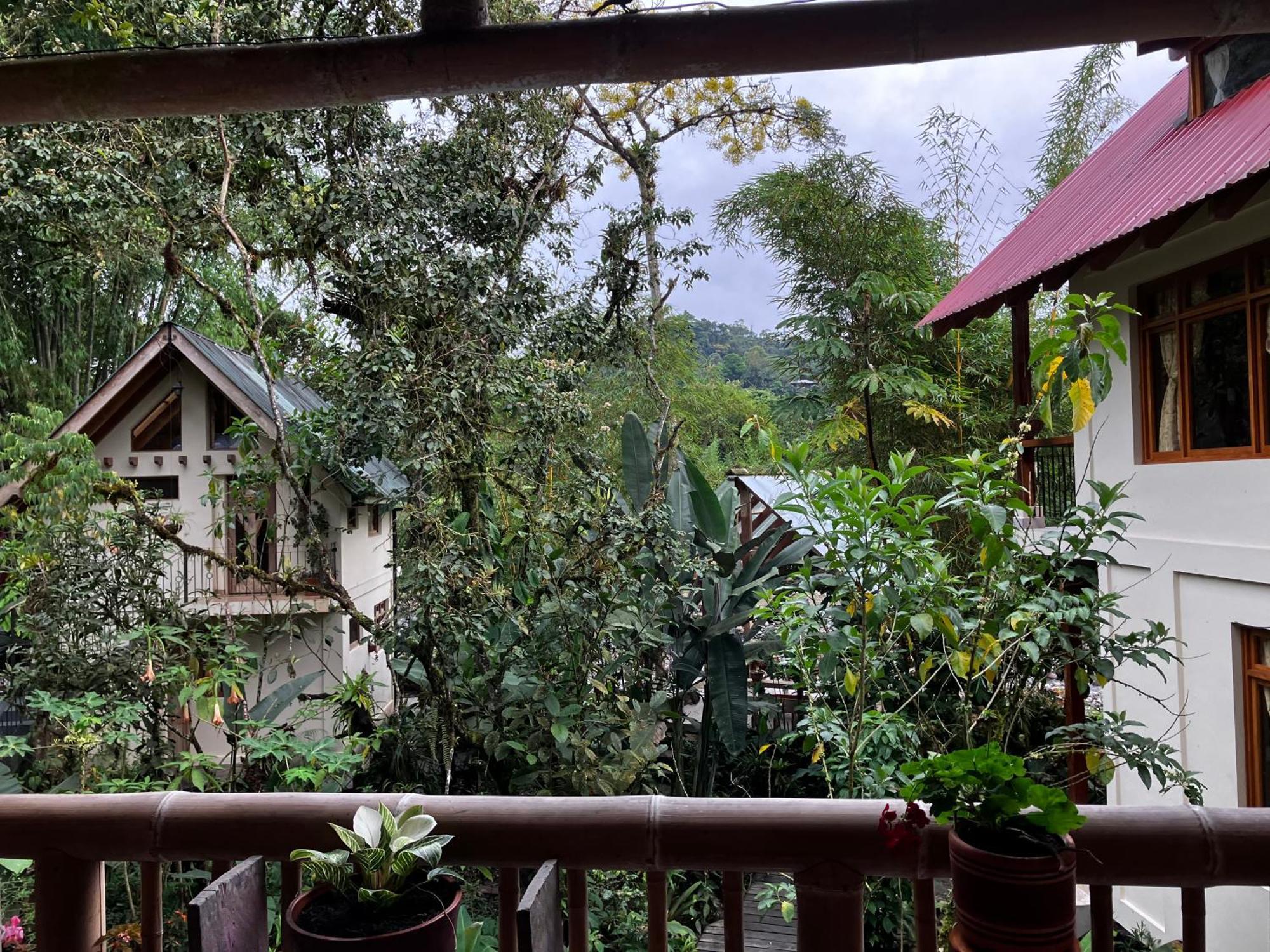 Bed and Breakfast Casa Del Rio En Mindo Exterior foto