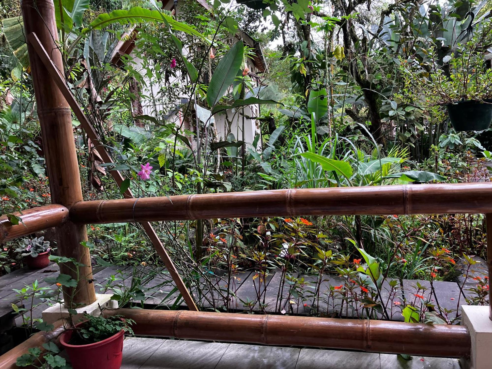 Bed and Breakfast Casa Del Rio En Mindo Exterior foto