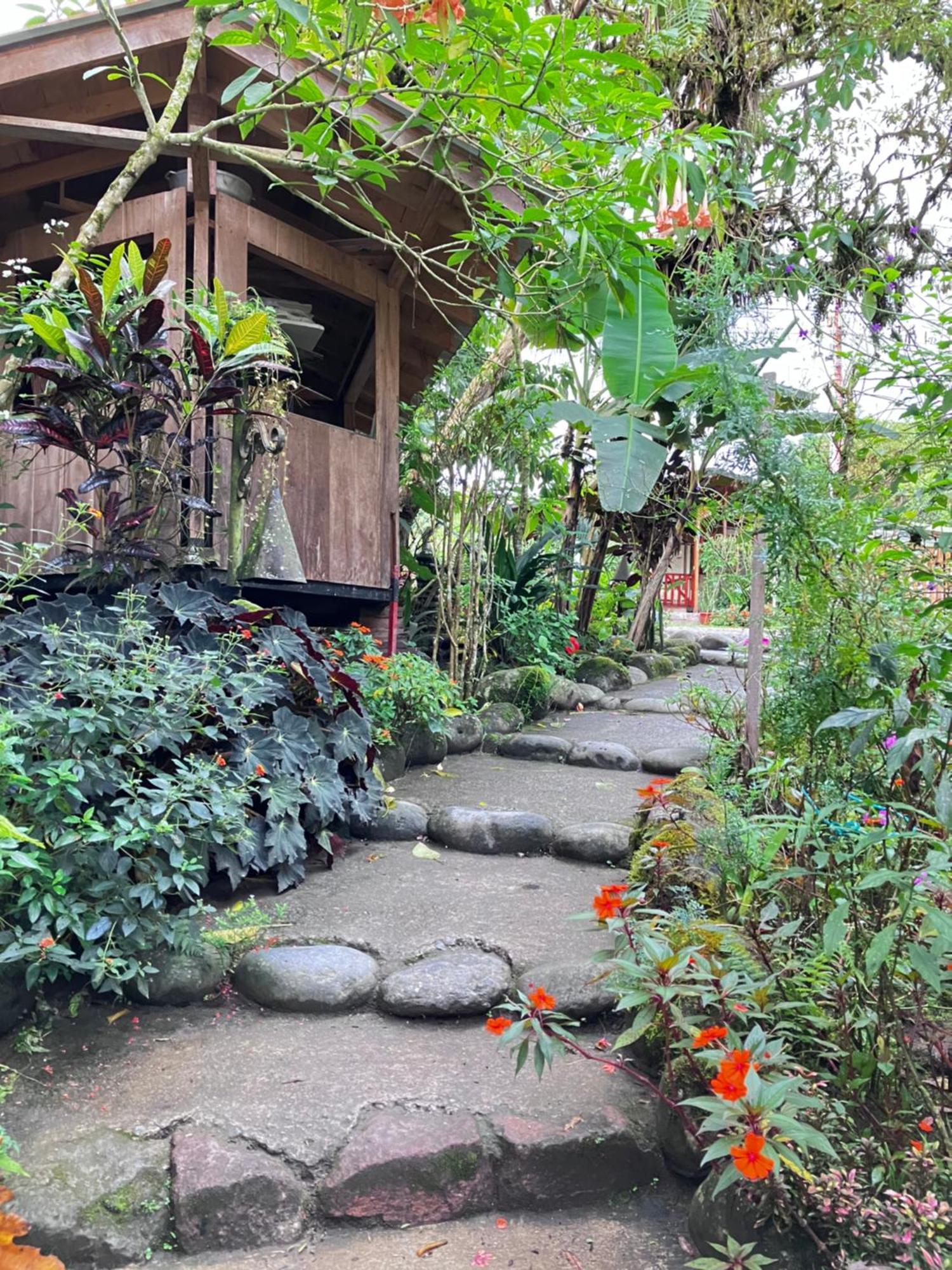 Bed and Breakfast Casa Del Rio En Mindo Exterior foto