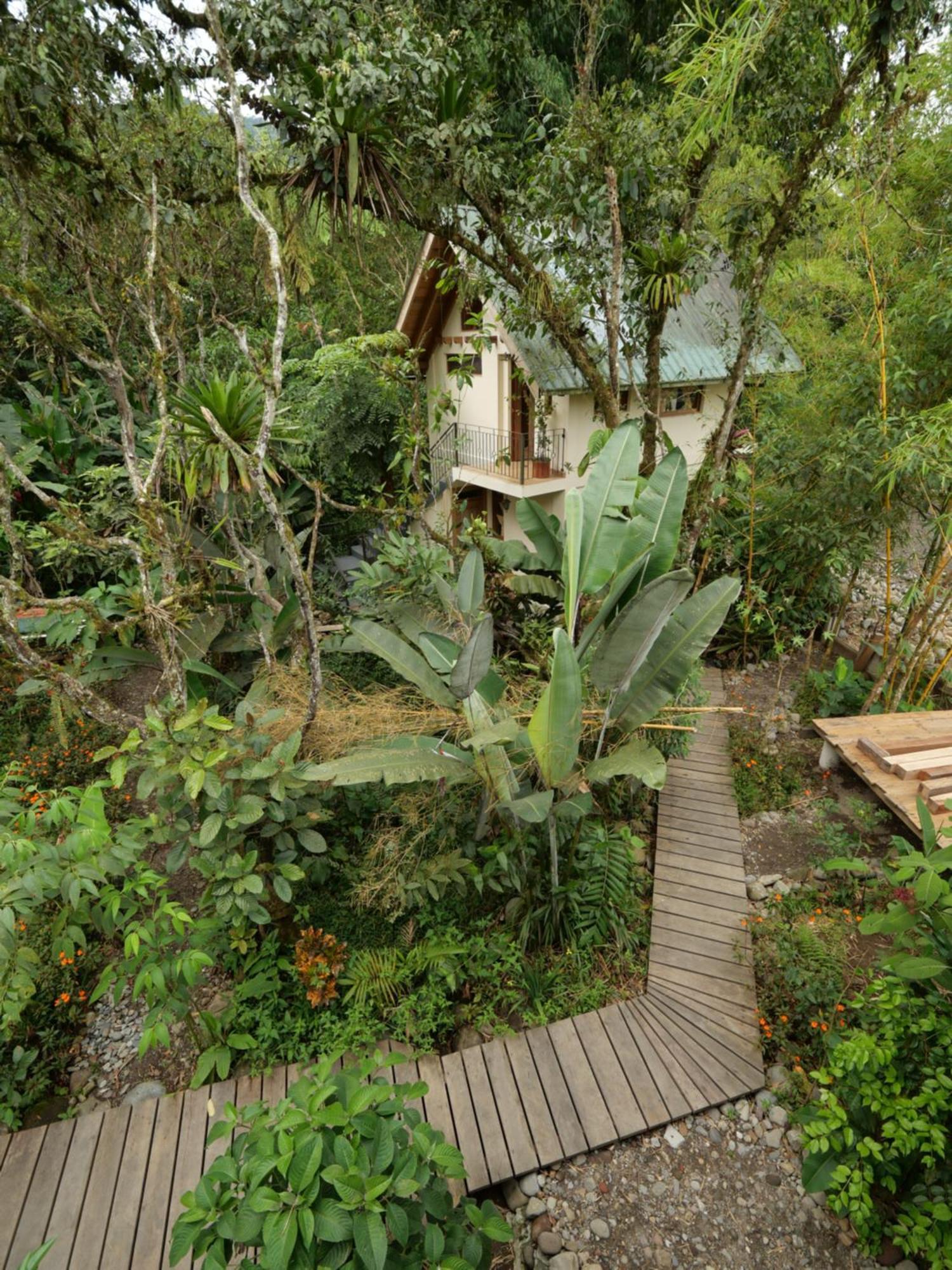 Bed and Breakfast Casa Del Rio En Mindo Exterior foto